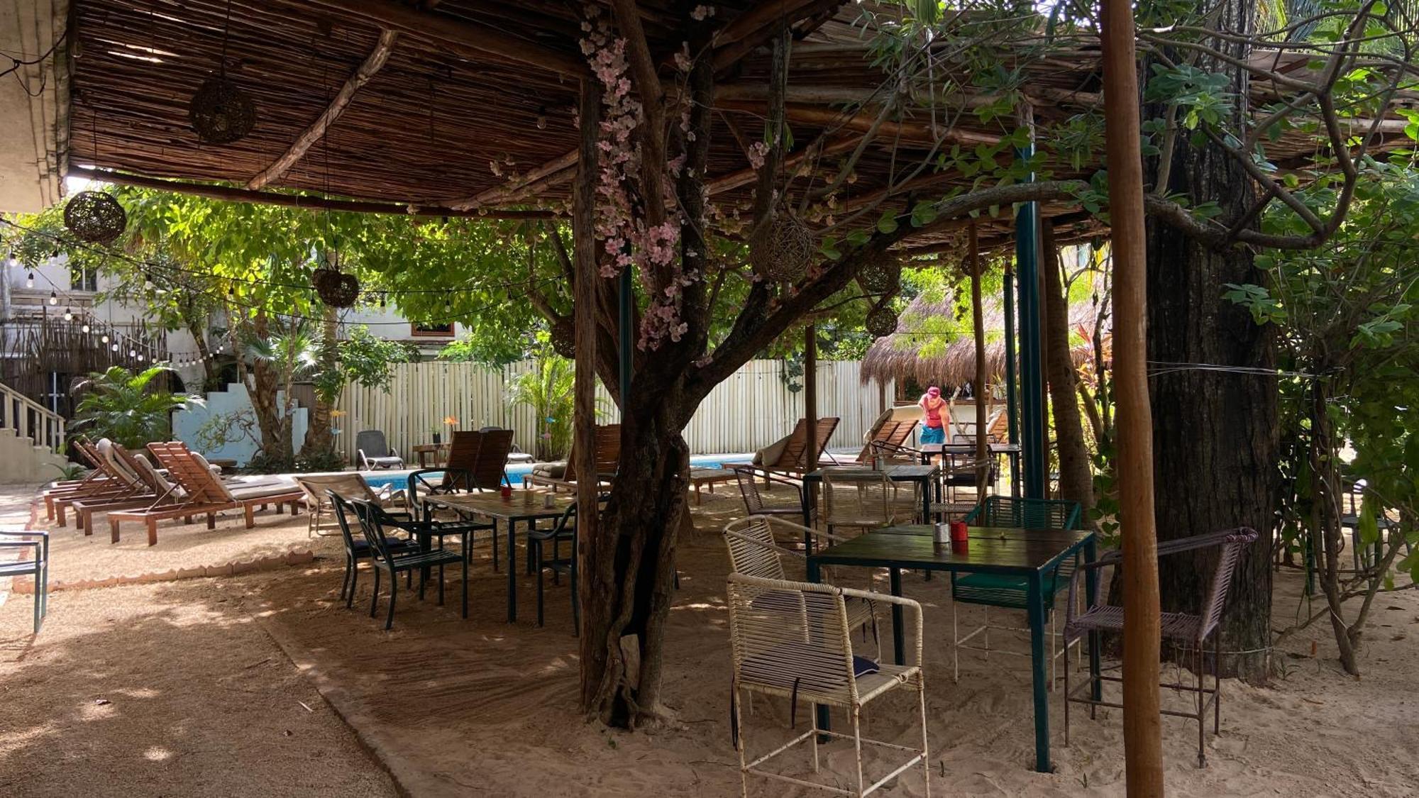 Nature Stay (Adults Only) Playa del Carmen Exterior foto