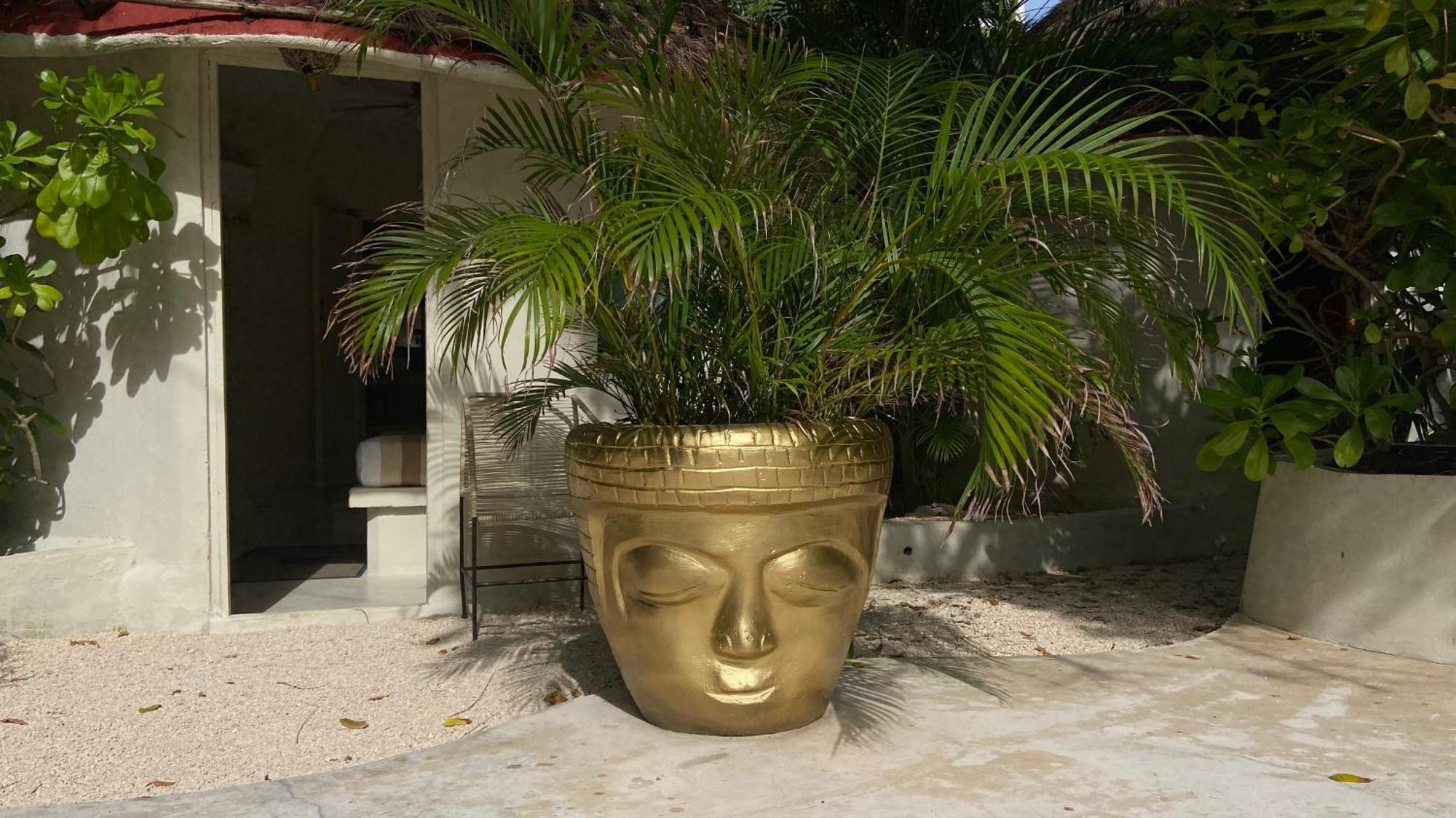 Nature Stay (Adults Only) Playa del Carmen Exterior foto